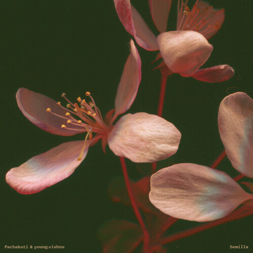 Pachakuti / Young.Vishnu: Semilla (Vinyl LP)
