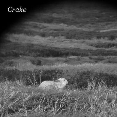 Crake: Enough Salt (for All Dogs) / Gef (7-Inch Single)