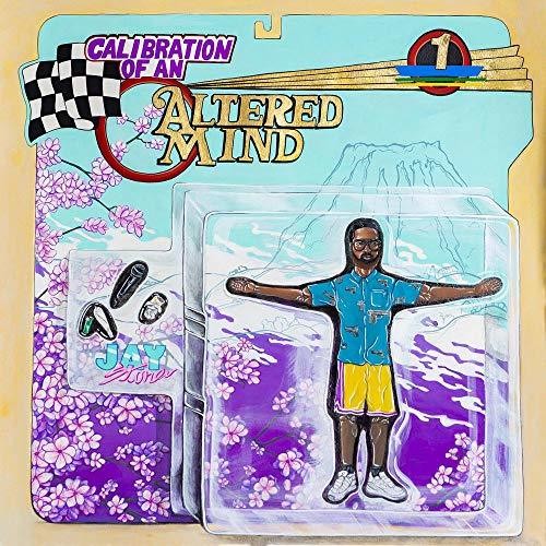 Stone, Jay: Calibration Of An Altered Mind (Vinyl LP)