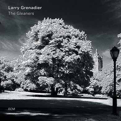 Grenadier, Larry: The Gleaners (Vinyl LP)