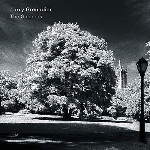 Grenadier, Larry: The Gleaners (Vinyl LP)