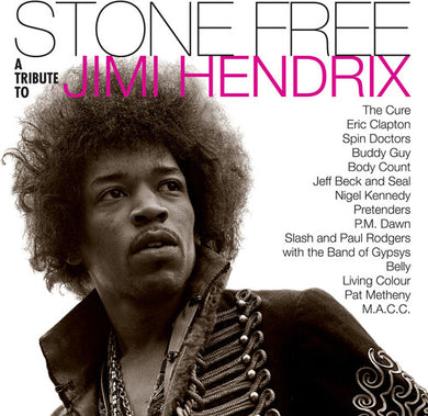 Hendrix, Jimmy Tribute: Stone Free: Jimi Hendrix Tribute (Vinyl LP)