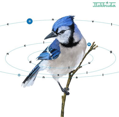 Mekbuda: Convincing Delusional (Vinyl LP)