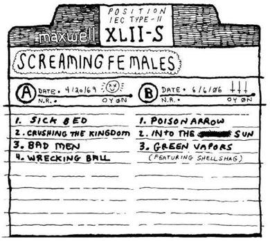 Screaming Females: Chalk Tape (Vinyl LP)