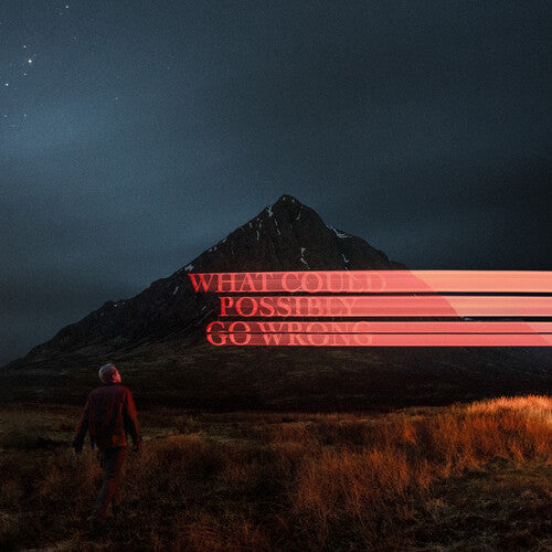 Fike, Dominic: What Could Possibly Go Wrong (Vinyl LP)