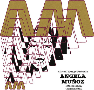 Munoz, Angela: Introspection (Instrumentals) (Vinyl LP)