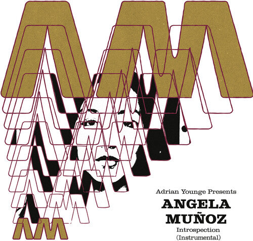 Munoz, Angela: Introspection (Instrumentals) (Vinyl LP)