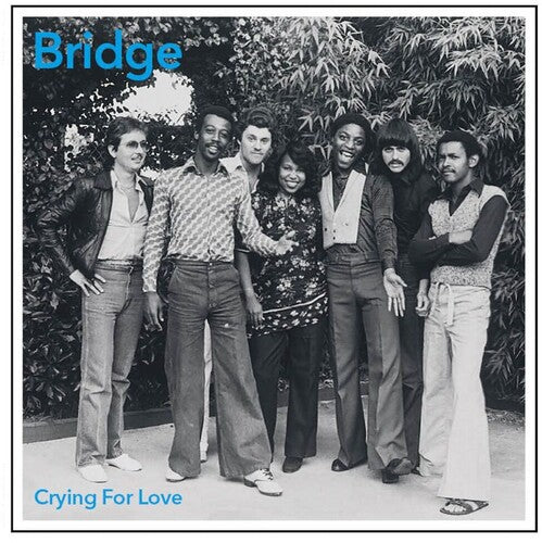 The Bridge: Crying For Love (Vinyl LP)