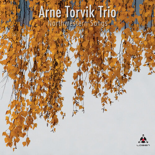 Arne Torvik Trio: Northwestern Songs (Vinyl LP)