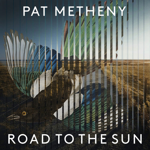 Metheny, Pat: Road To The Sun (Vinyl LP)
