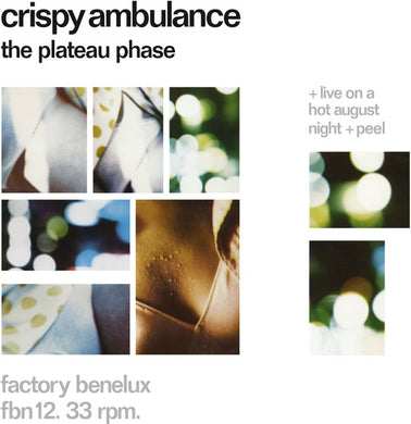 Crispy Ambulance: The Plateau Phase (Vinyl LP)