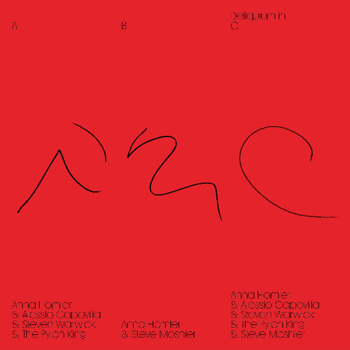 Homler, Anna: Deliquium in C (Vinyl LP)