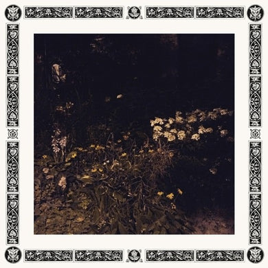Davachi, Sarah: Pale Bloom (Vinyl LP)