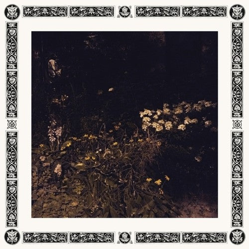 Davachi, Sarah: Pale Bloom (Vinyl LP)