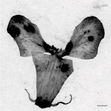 Lucy: Dyscamupia (12-Inch Single)