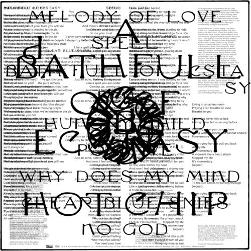 Hot Chip: Bath Full Of Ecstasy (Vinyl LP)