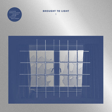 Brought to Light / Various: Brought To Light (Various Artists) (Vinyl LP)