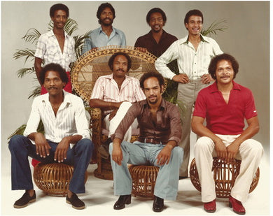 The Brief Encounter: We Want to Play (Vinyl LP)