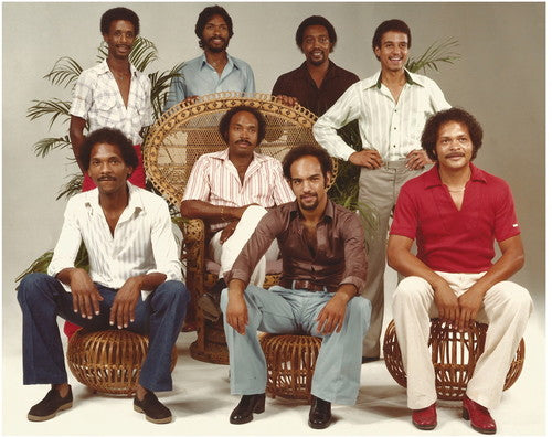 The Brief Encounter: We Want to Play (Vinyl LP)