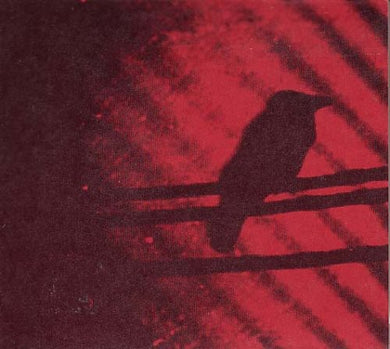 Silver Mt Zion: Born Into Trouble As the Sparks Fly Upward (Vinyl LP)