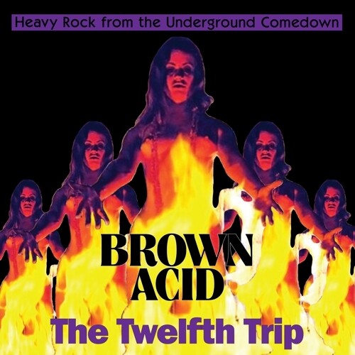 Brown Acid - the Twelfth Trip / Various: Brown Acid - The Twelfth Trip (Various Artists) (Vinyl LP)