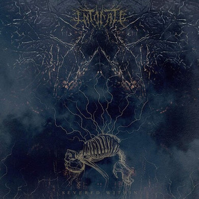 Intonate: Severed WIthin (Vinyl LP)