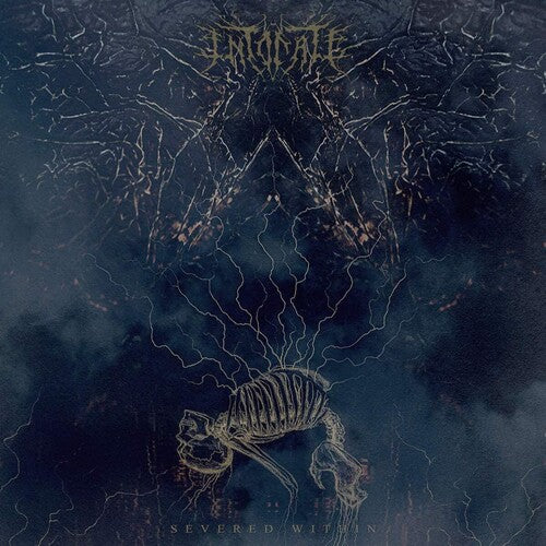 Intonate: Severed WIthin (Vinyl LP)