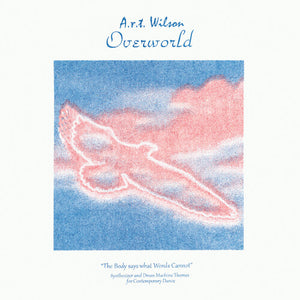 A.R.T. Wilson: Overworld (Vinyl LP)