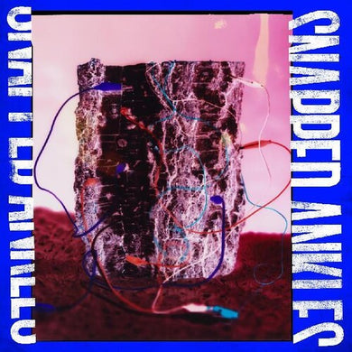 Snapped Ankles: Forest Of Your Problems (the Protester Edition) (Vinyl LP)