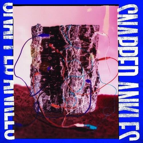 Snapped Ankles: Forest Of Your Problems (the Protester Edition) (Vinyl LP)