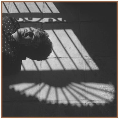 Llamas, Dani: La Verdad (Vinyl LP)
