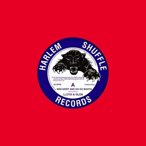 Lloyd & Glen: Mini Skirt & Go Go Boots / What You've Got (7-Inch Single)