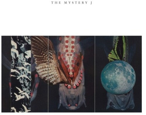 The Mystery Jby McPhee, Joe / Paulson, Jen Clare / Labycz, Brian (Vinyl Record)