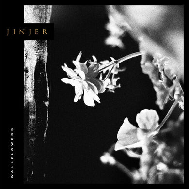 Wallflowersby Jinjer (Vinyl Record)