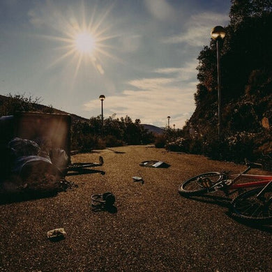 Lookmom: Well Spent Youth (Vinyl LP)