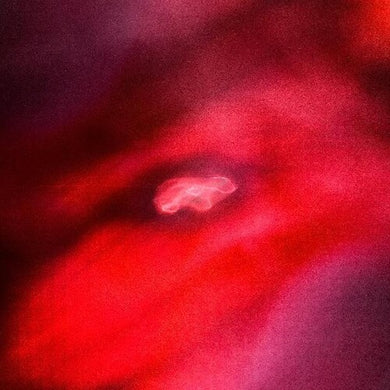 Saffronkeira / Amini, Siavash: Faded Orbit (Vinyl LP)