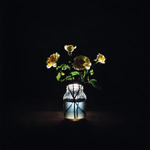 Strings, Billy: Renewal (Vinyl LP)