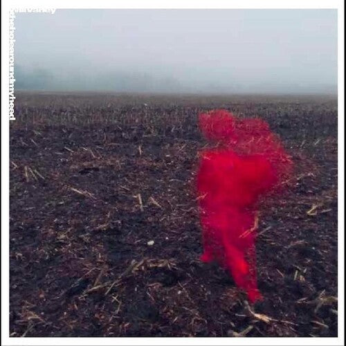 Varley, Will: The Hole Around My Head (Vinyl LP)