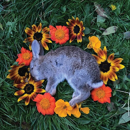 Monolord: Your Time To Shine (Vinyl LP)