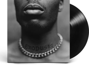 Dmx: Exodus (Vinyl LP)