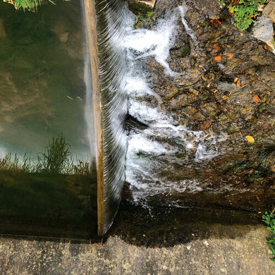 Moss, Jessica: Phosphenes (Vinyl LP)