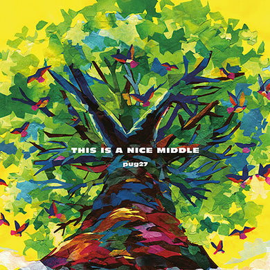 Pug27: This Is A Nice Middle (Vinyl LP)