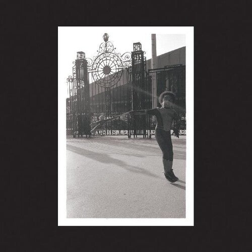 Irreversible Entanglements: Open The Gates (Vinyl LP)