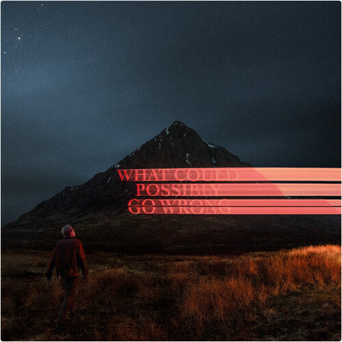 Dominic Fike: What Could Possibly Go Wrong (Vinyl LP)