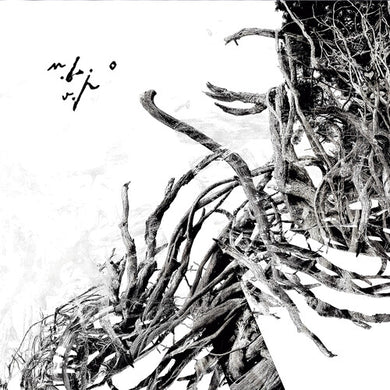 Negura Bunget: Virstele Pamintului (Vinyl LP)