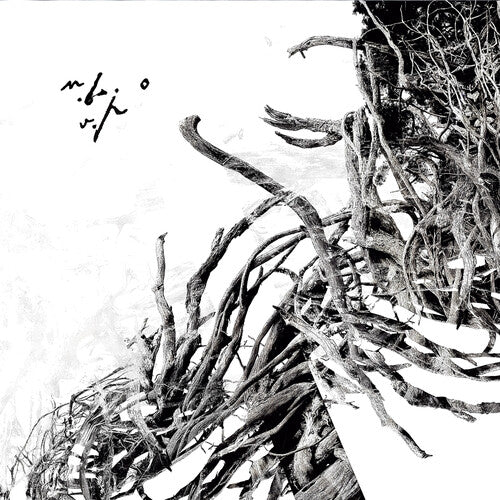 Negura Bunget: Virstele Pamintului (Vinyl LP)