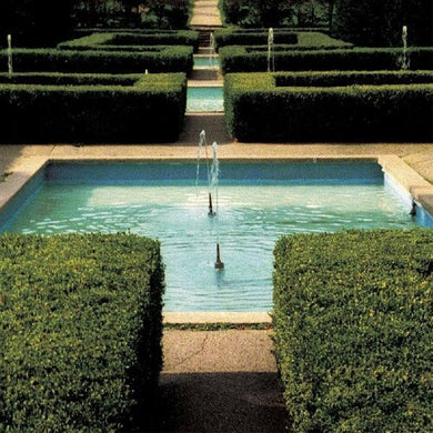 Ducks Ltd.: Get Bleak (Vinyl LP)