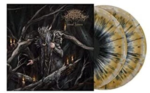 Worm Shepherd: Ritual Hymns (Vinyl LP)