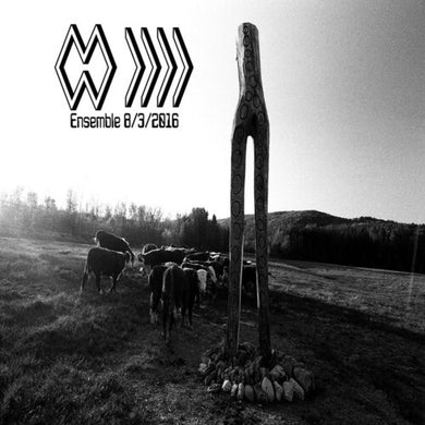 Band Whose Name Is a Symbol: Ensemble 8 3 2016 (Vinyl LP)