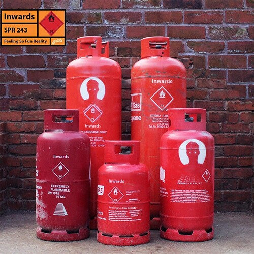 Inwards: Feeling So Fun Reality (Vinyl LP)